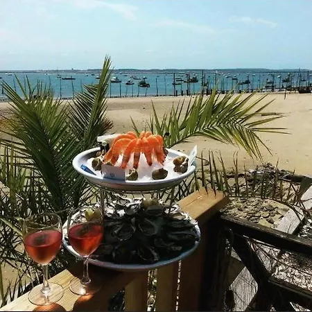 Maison Jardin 3 Ch Centre Bassin Arcachon Holiday home *