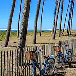 Tatil Evi Maison Jardin 3 Ch Centre Bassin Arcachon *