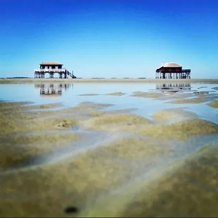 Maison Jardin 3 Ch Centre Bassin Arcachon *