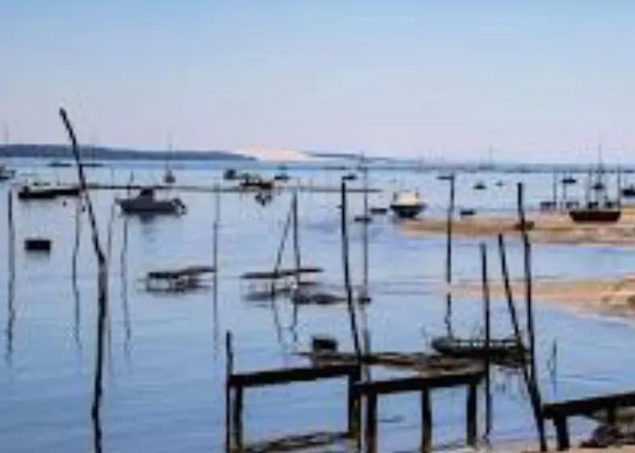 Maison Jardin 3 Ch Centre Bassin Arcachon *