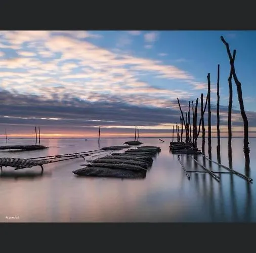 Maison Jardin 3 Ch Centre Bassin Arcachon * Audenge