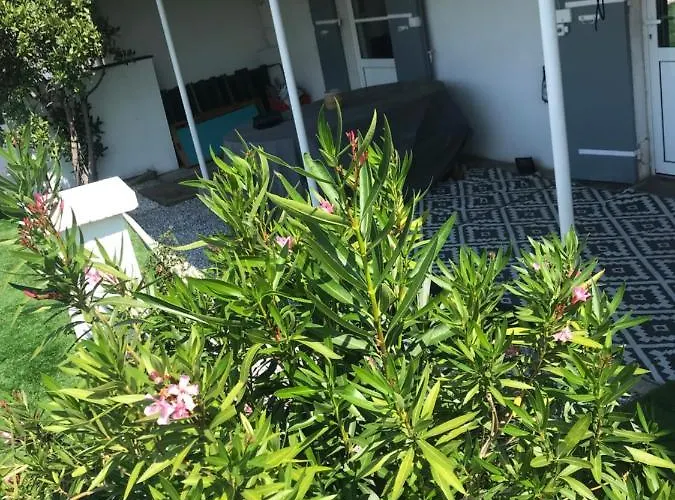 Hébergement de vacances Maison Jardin 3 Ch Centre Bassin Arcachon